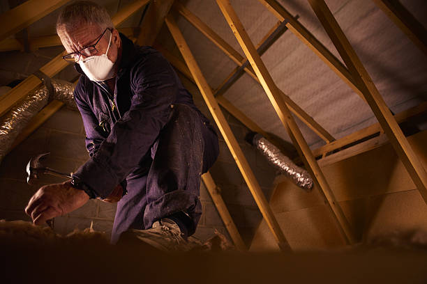 Talahi Island, GA Insulation Contractor Company